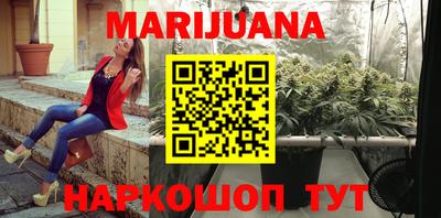 сатива Сочи