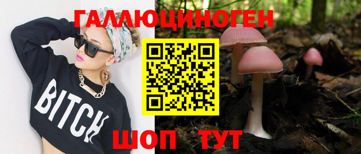 Галлюциногенные грибы Psilocybine cubensis  Вход с VPN  Анжеро-Судженск 